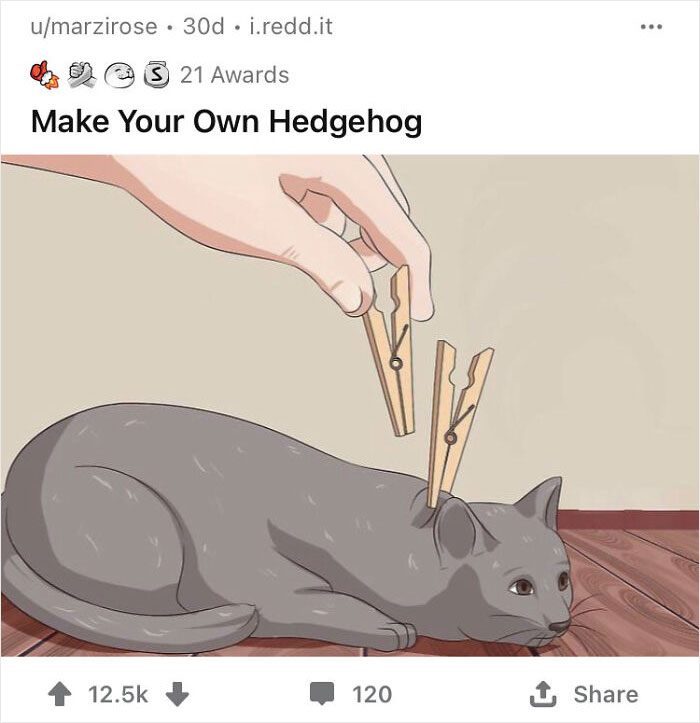 WikiHow image of a gray cat with clothespins, humorously captioned as a "hedgehog."
