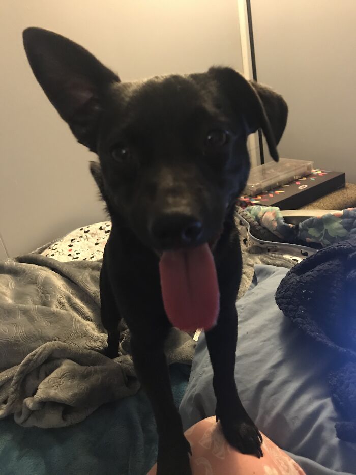 Where Is The Ball ??