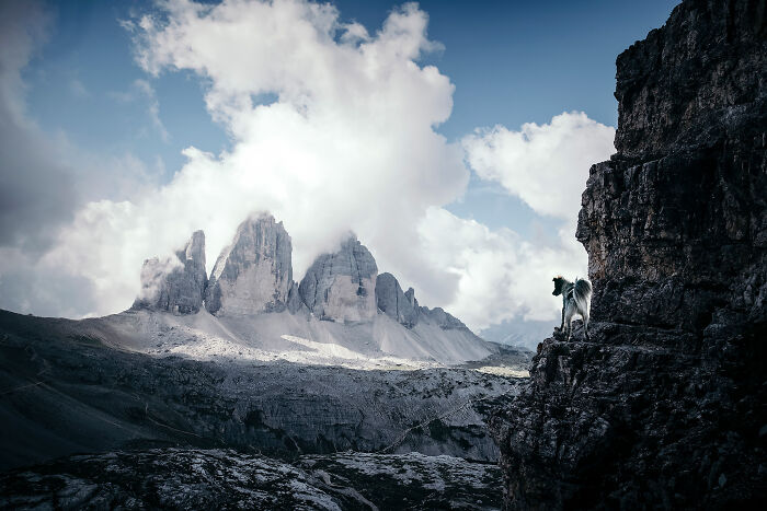 One Way Ticket To Paradise - I Will Take You On A Little Journey