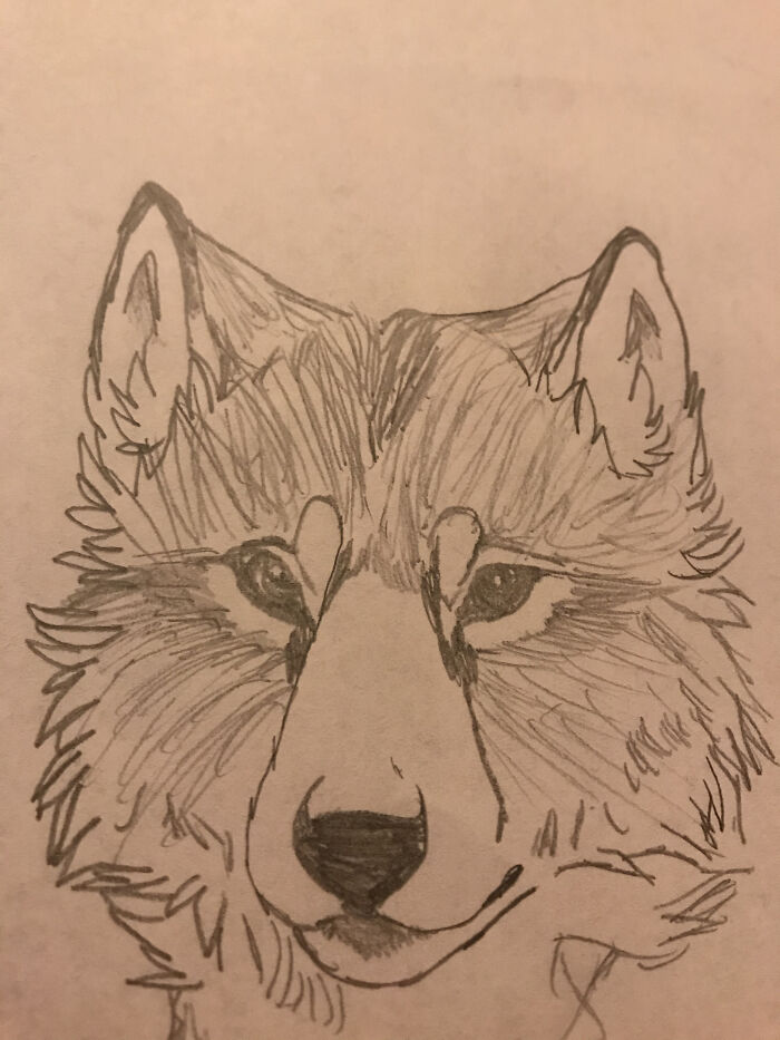 I Love This...wolf/Dog?