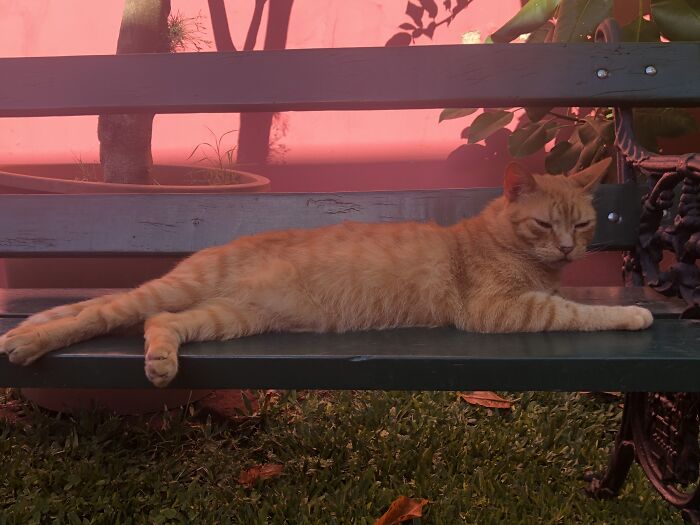 Draw Me Like One Of Your French Girls