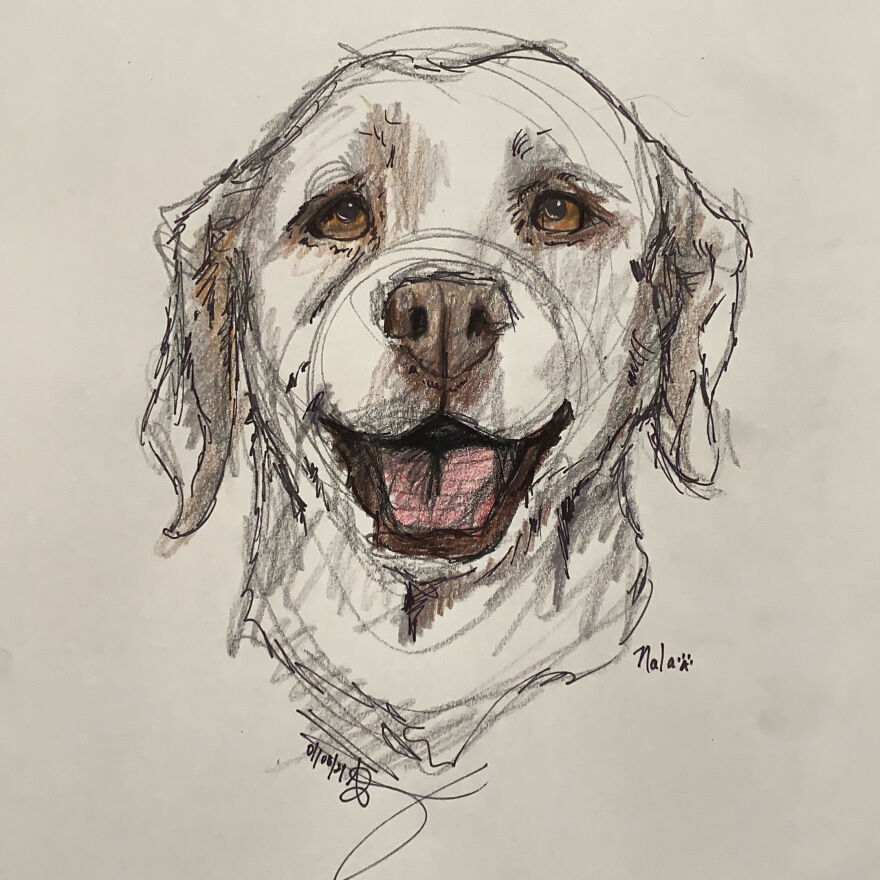 Pet Portraits For Charity