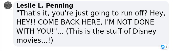 The Curious Incident Between An Owl And A Fox In The Night-Time Captured On Camera The Curious Incident Between An Owl And A Fox In The Night-Time Captured On Camera