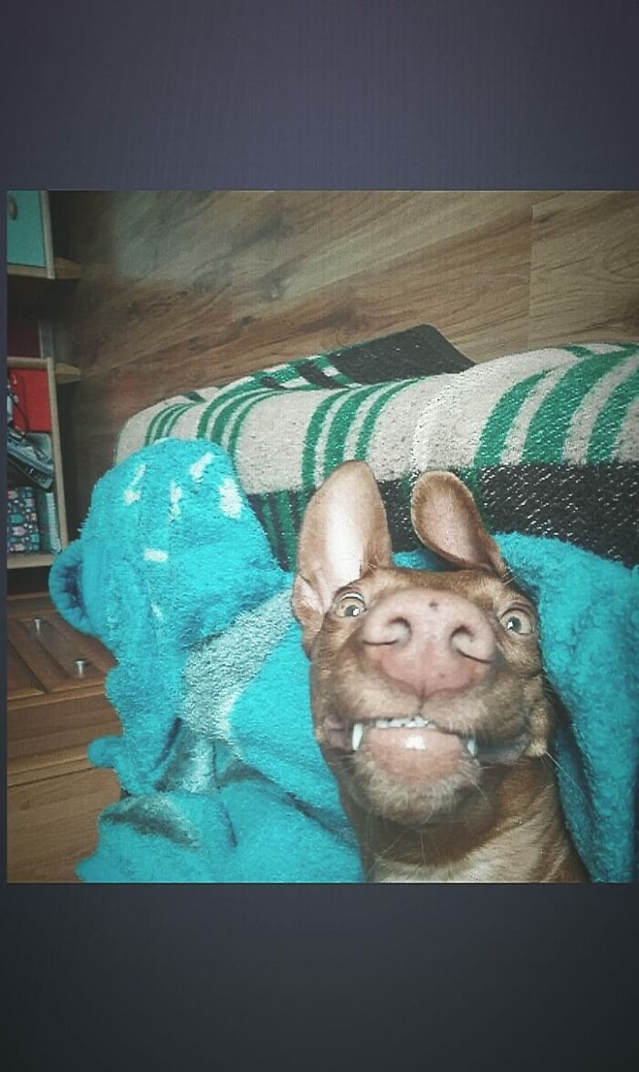 Just Be Like Vee, Be Yourself-No Matter What