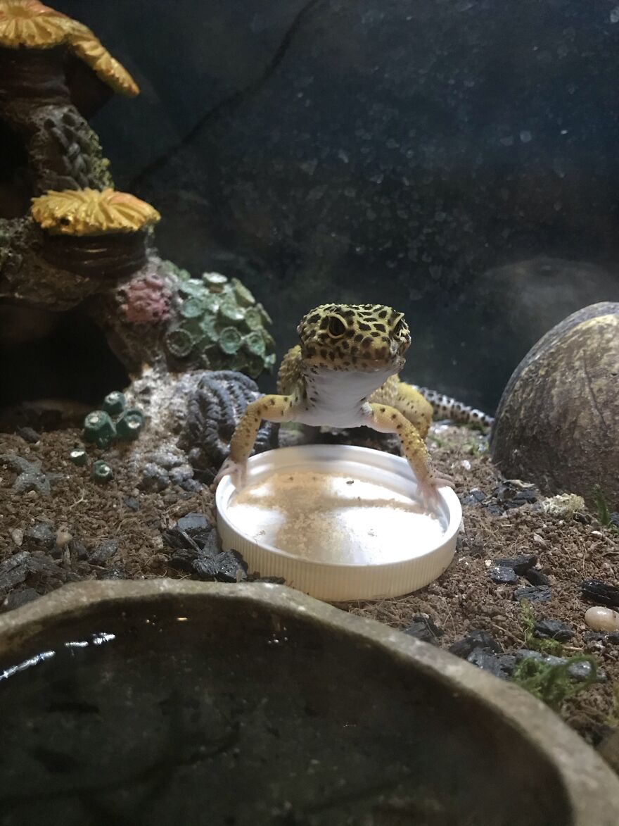 Thought You Guys Might Like Some Cute Animals :)