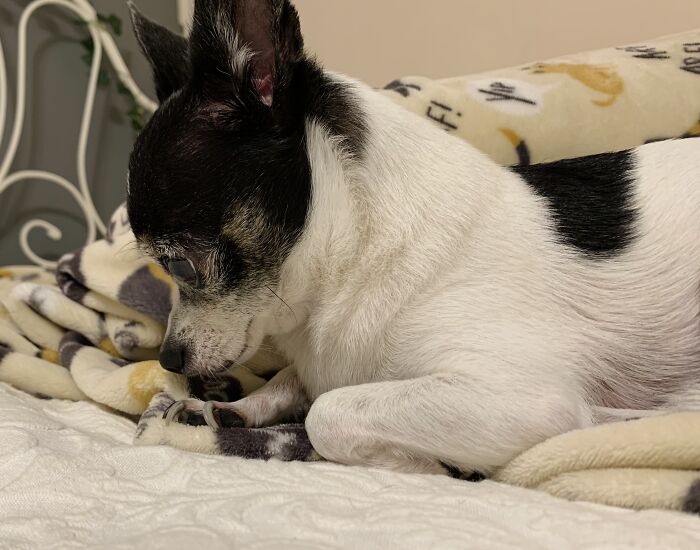 Willie Nelson ♡︎