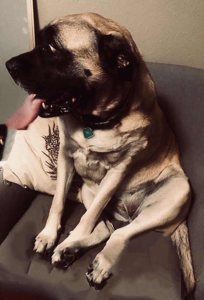 Bella, Good Southern Girls Do Not Sit With Their Treasure Box Out For All To See!