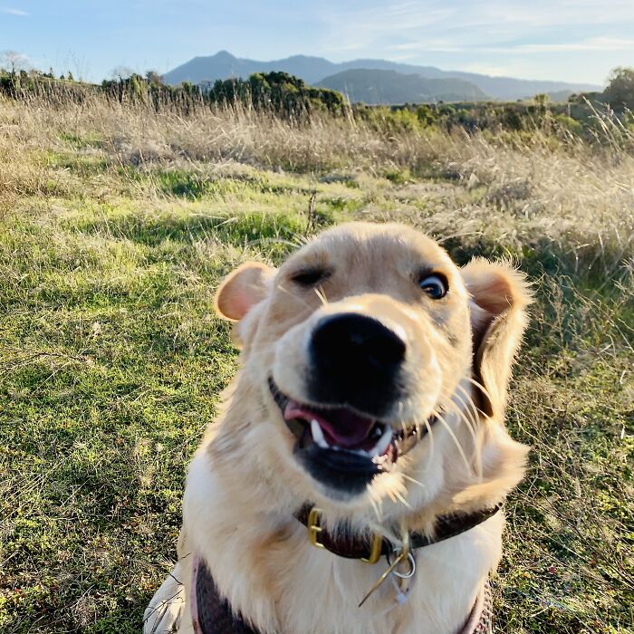 A Little Too Happy About The Walk