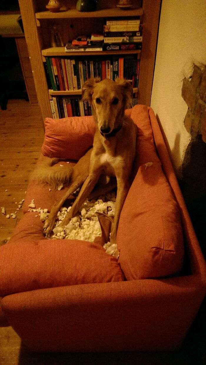 It Was Like This When I Found It - Honest!