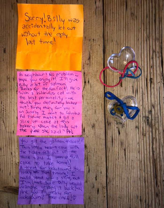Cat Brings Its Parents A Note From The Neighbors He Visits, They Become Pen Pals With The Cat As Their Postman