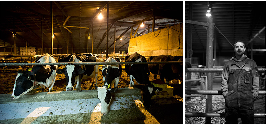 Dan, Dairy Farmer, Cressridge Farms