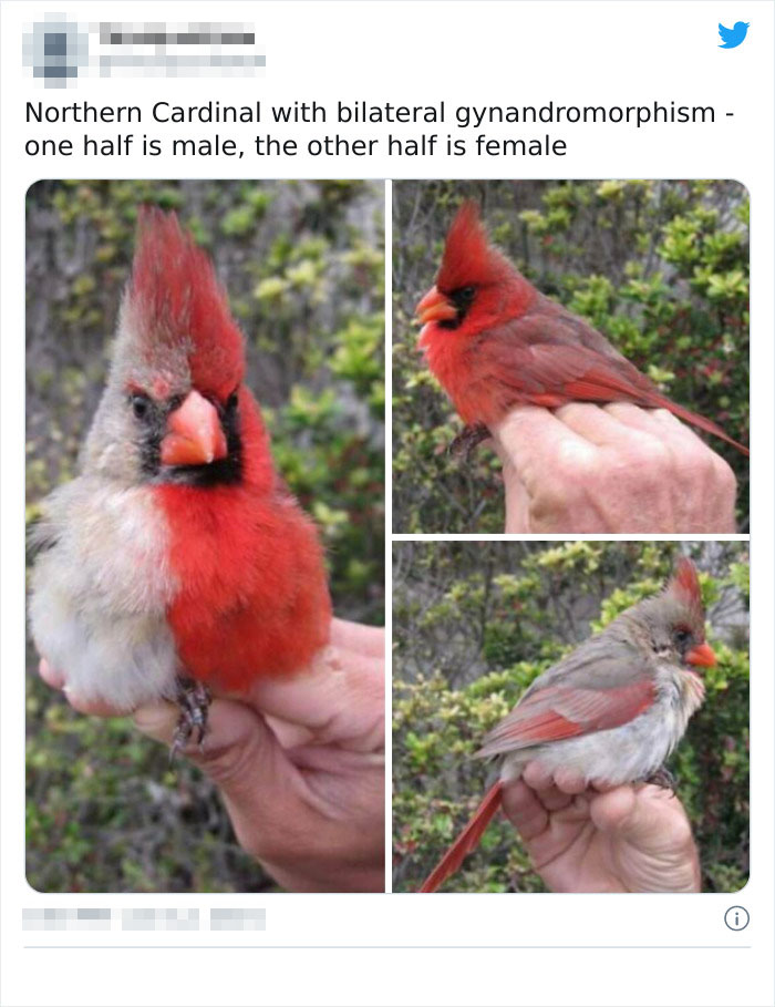 Found This On Twitter Earlier!