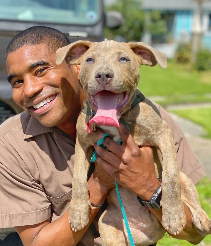 Delivery Man Continues To Take Breaks On The Way To Take Pictures And Pet The Dogs He Meets (New Pics)