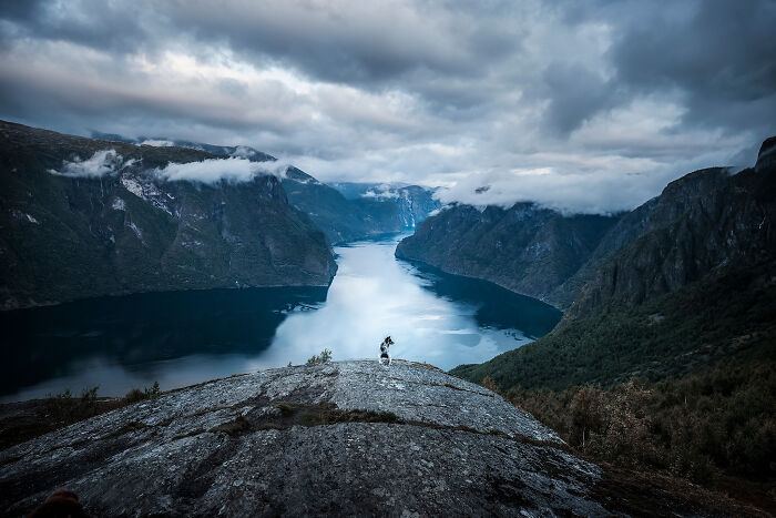 One Way Ticket To Paradise - I Will Take You On A Little Journey