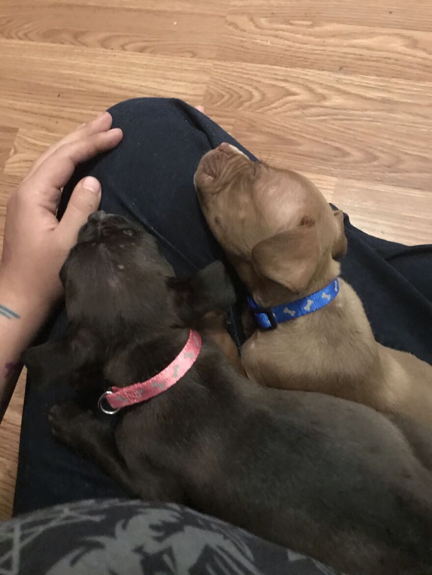 Thought You Guys Might Like Some Cute Animals :) Thought You Guys Might Like Some Cute Animals :)