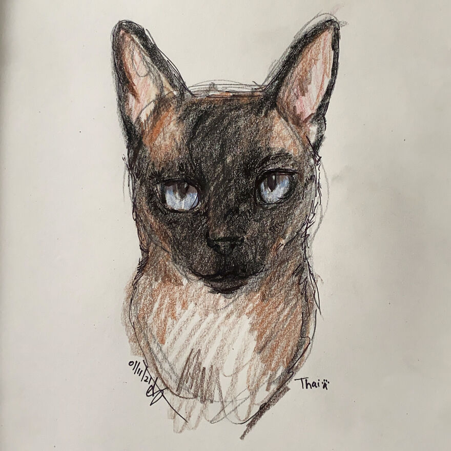 Pet Portraits For Charity