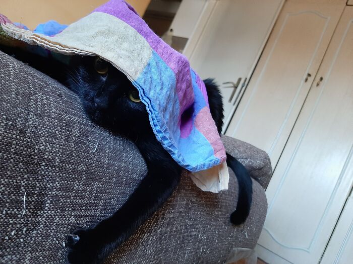 No One Can See Me, I Am A Ninja!