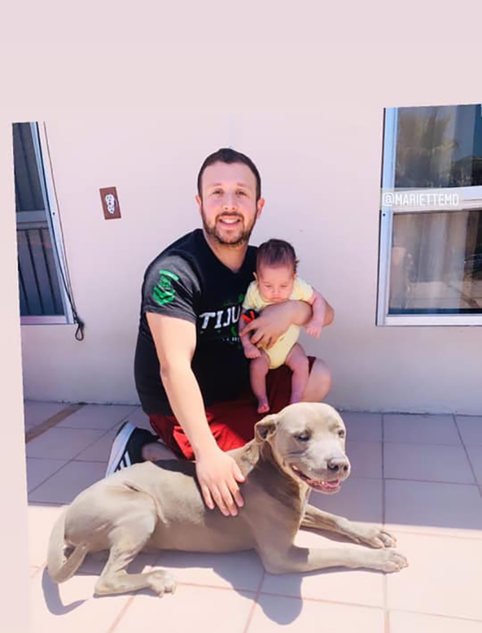 Pit Bull Kindly Asks Owners To Allow A Pregnant Cat Inside So It Can Give Birth