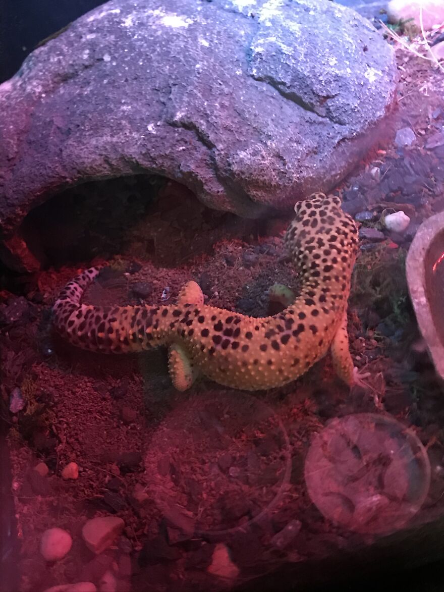 Thought You Guys Might Like Some Cute Animals :) Thought You Guys Might Like Some Cute Animals :)