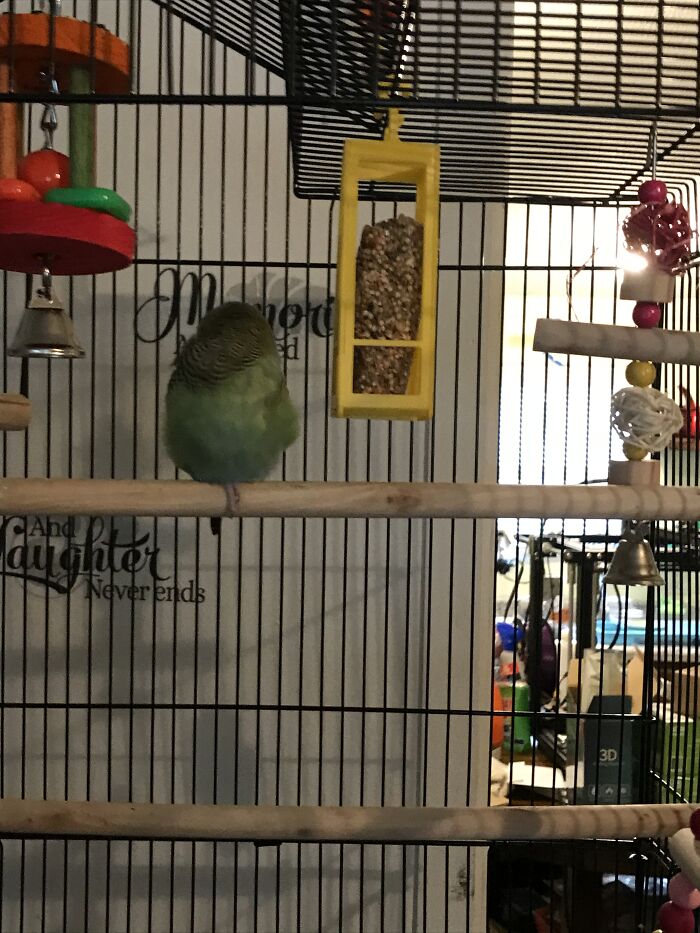 He Sleeps On One Foot And Turns Into A Green Pompom