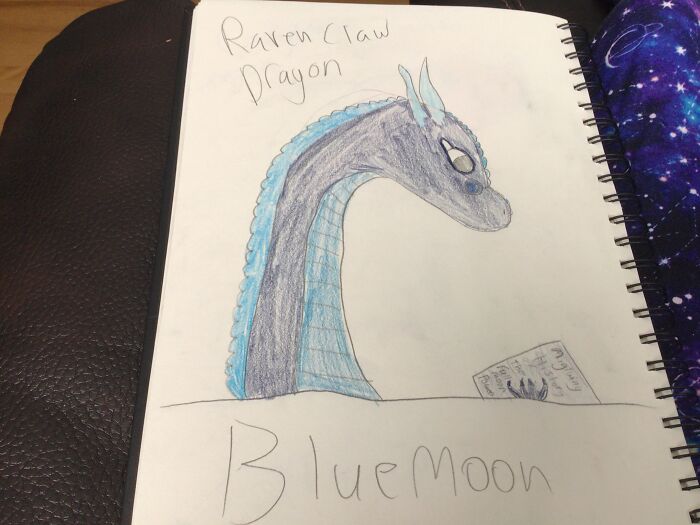 I Love Dragons (And Reading That’s Why The Dragon Has A Book) Also I Was Drawing Hog Warts Houses As Wings Of Fire Dragons So That’s Why It Says Ravenclaw