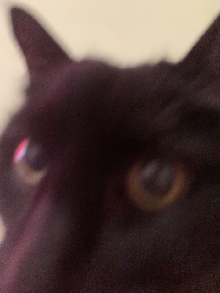 No Words Just 😶 😂🤭