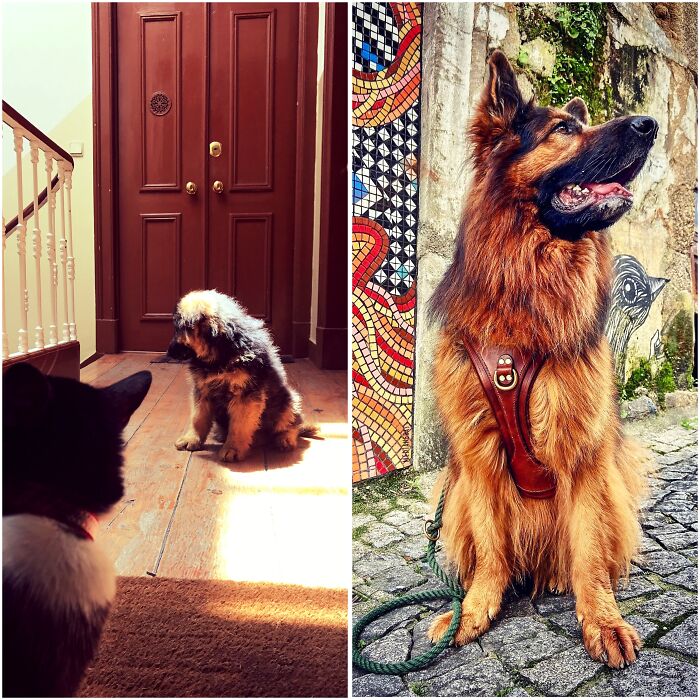 Caju Conde. From Shy To Stylish