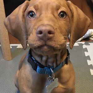 christophervirtue6 avatar