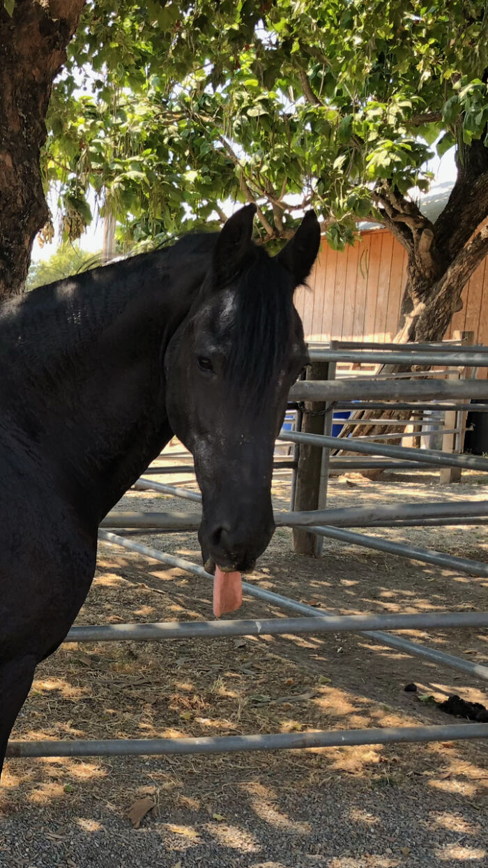 Pluuuth! (Our Beauty Boy, Expressing Himself!)