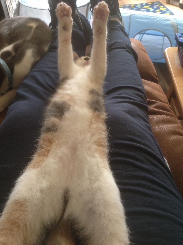 Smokie 2 Years Ago & My Fat Thighs!