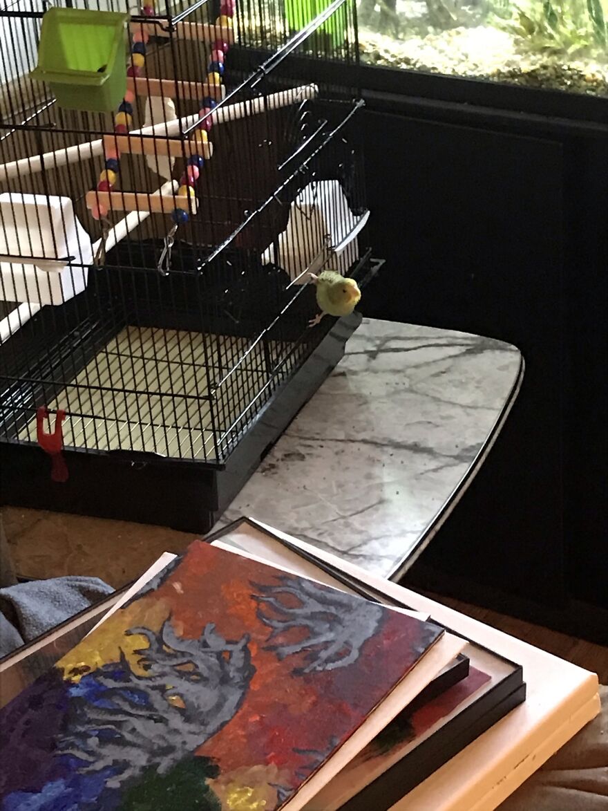 Thought You Guys Might Like Some Cute Animals :)