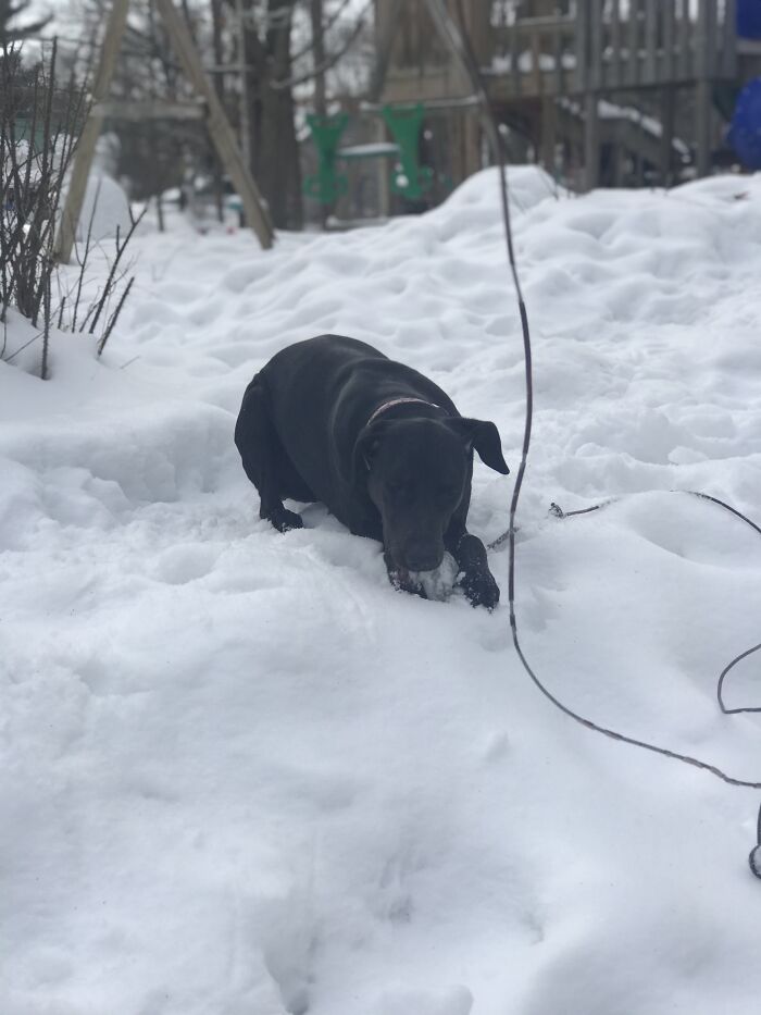 Daisy’s First Winter
