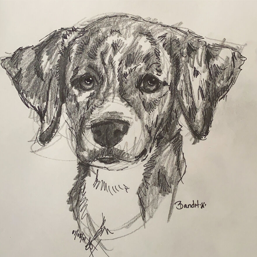 Pet Portraits For Charity
