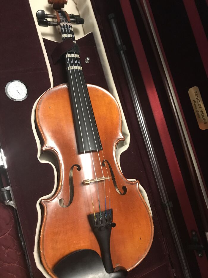 My Rental For School