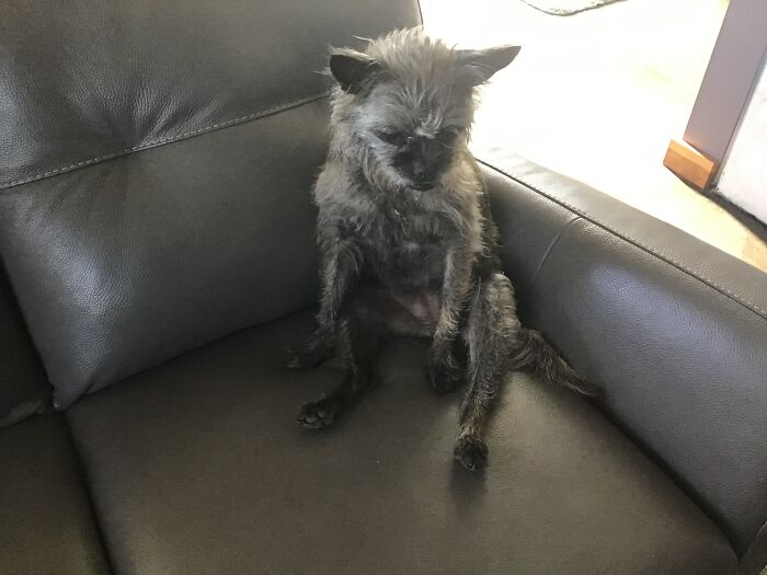 Chillingly Human-Like