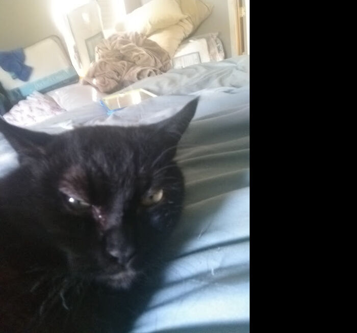 Awwwwww, Hes So Cute Uwu