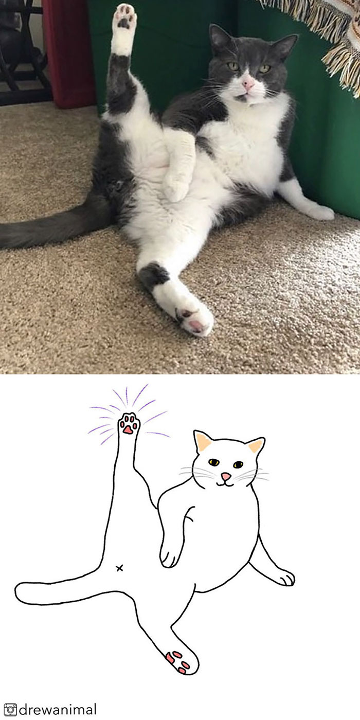 Artist Turns Classic Cat Memes Into Minimalist Illustrations