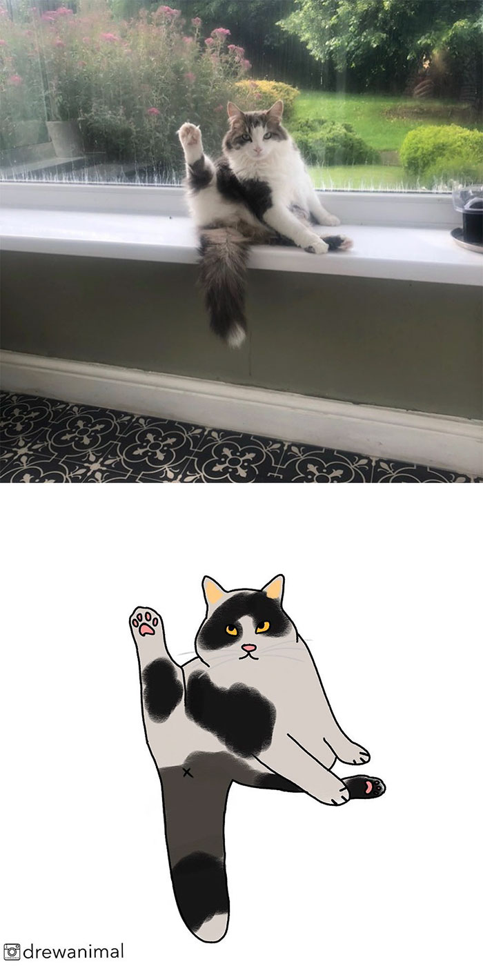 Artist Turns Classic Cat Memes Into Minimalist Illustrations
