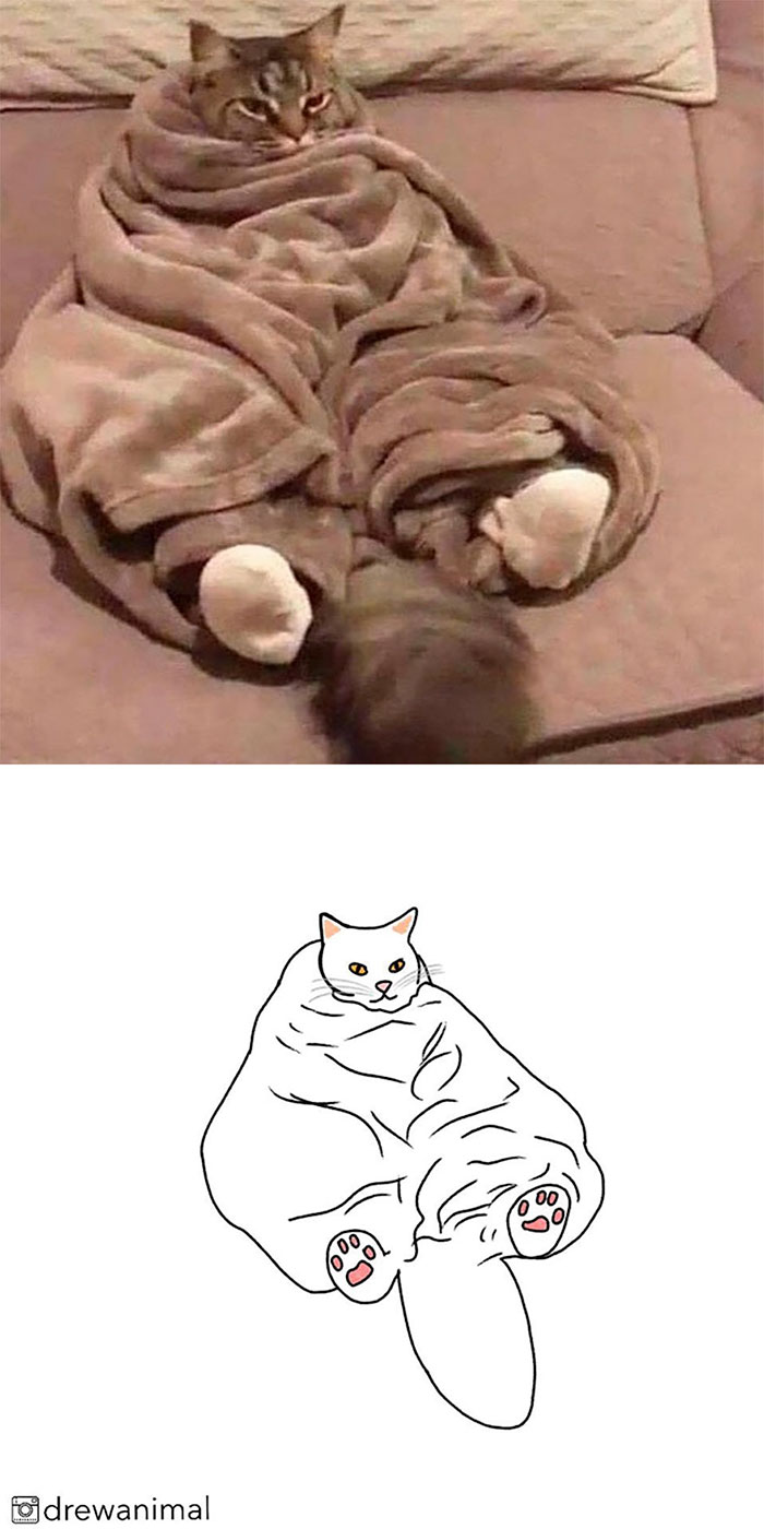 Artist Turns Classic Cat Memes Into Minimalist Illustrations