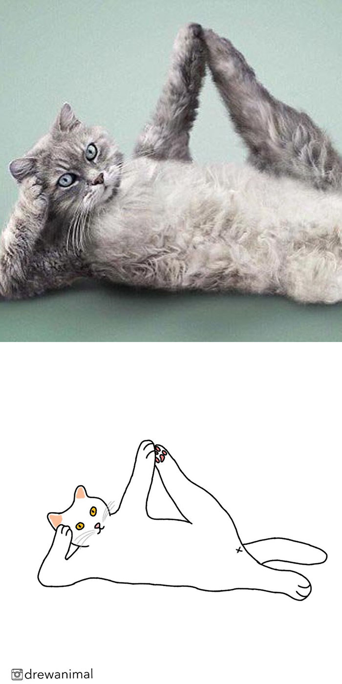 Artist Turns Classic Cat Memes Into Minimalist Illustrations