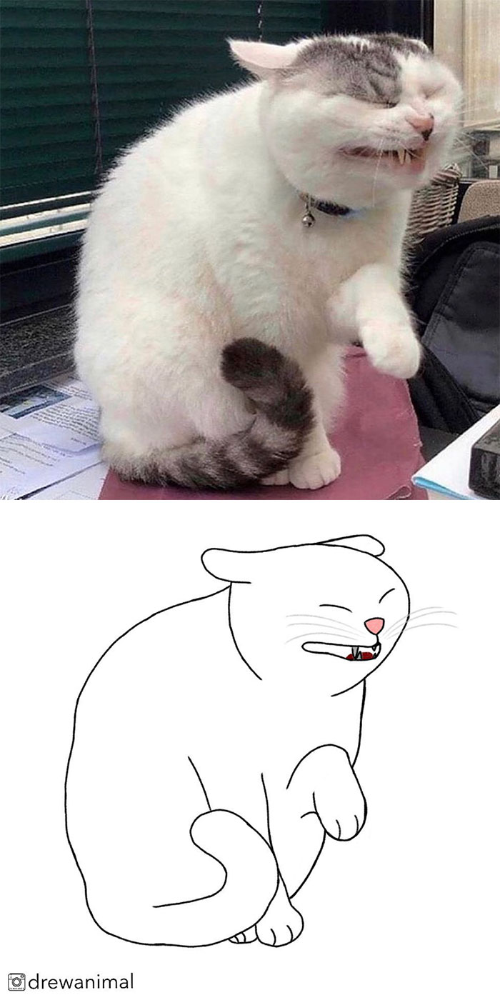 Artist Turns Classic Cat Memes Into Minimalist Illustrations