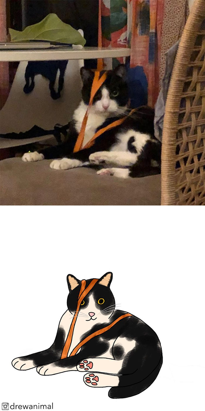 Artist Turns Classic Cat Memes Into Minimalist Illustrations