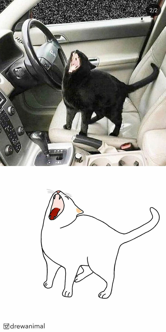 Artist Turns Classic Cat Memes Into Minimalist Illustrations