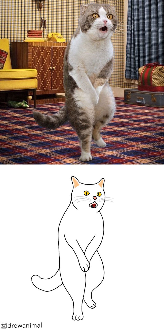 Artist Turns Classic Cat Memes Into Minimalist Illustrations