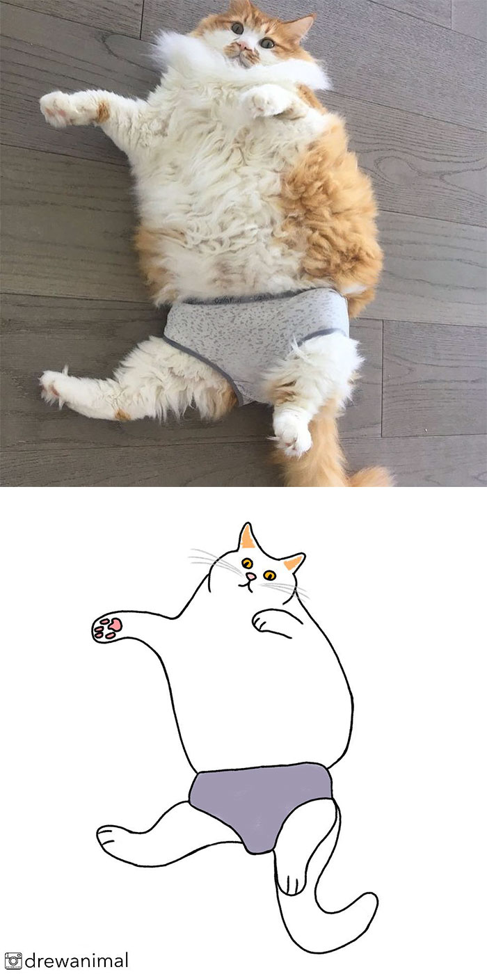 Artist Turns Classic Cat Memes Into Minimalist Illustrations