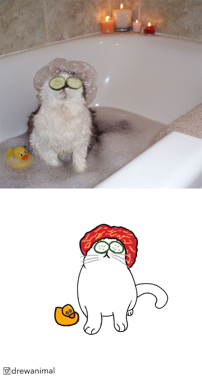 Artist Turns Classic Cat Memes Into Minimalist Illustrations