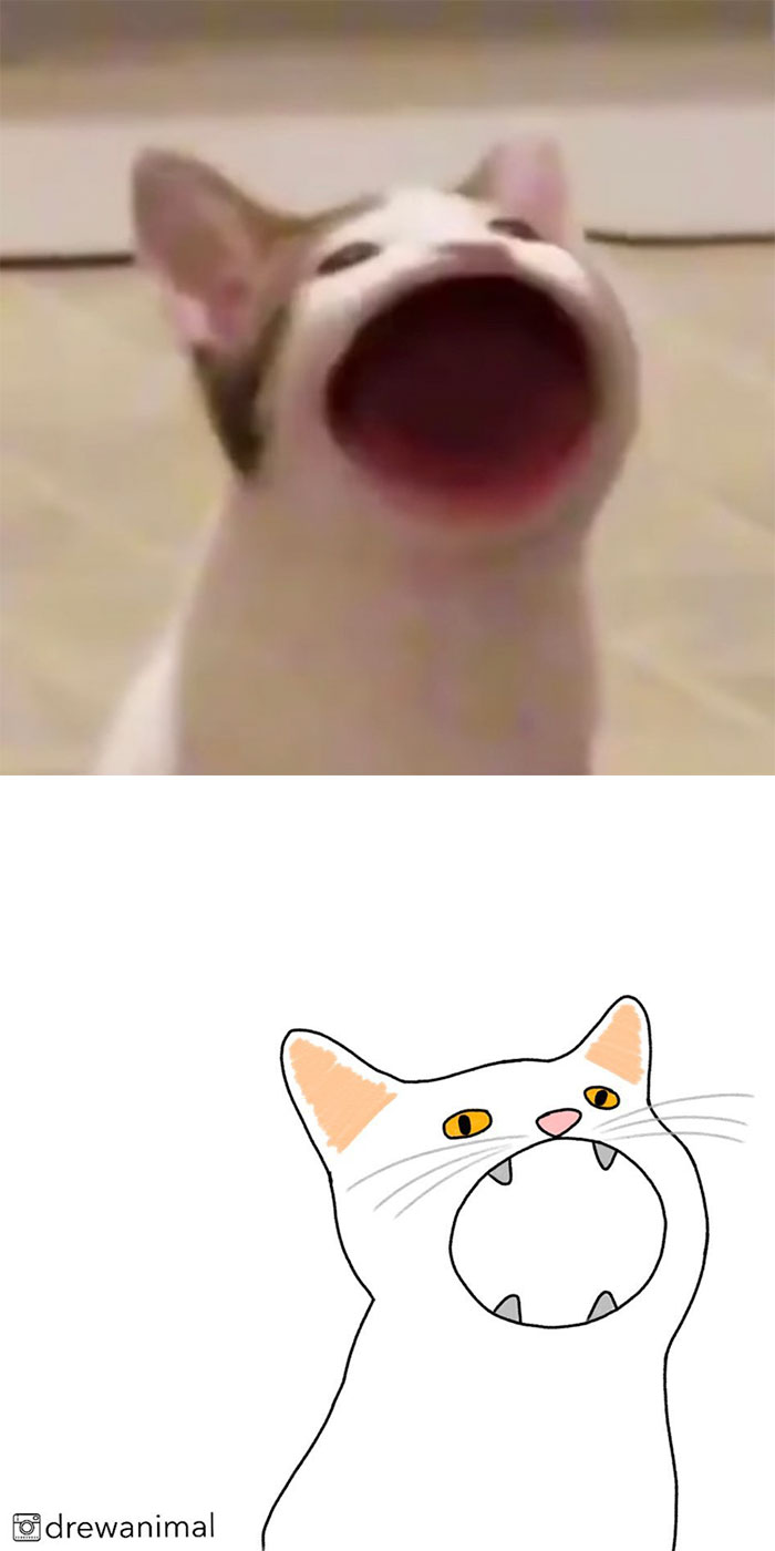 Artist Turns Classic Cat Memes Into Minimalist Illustrations