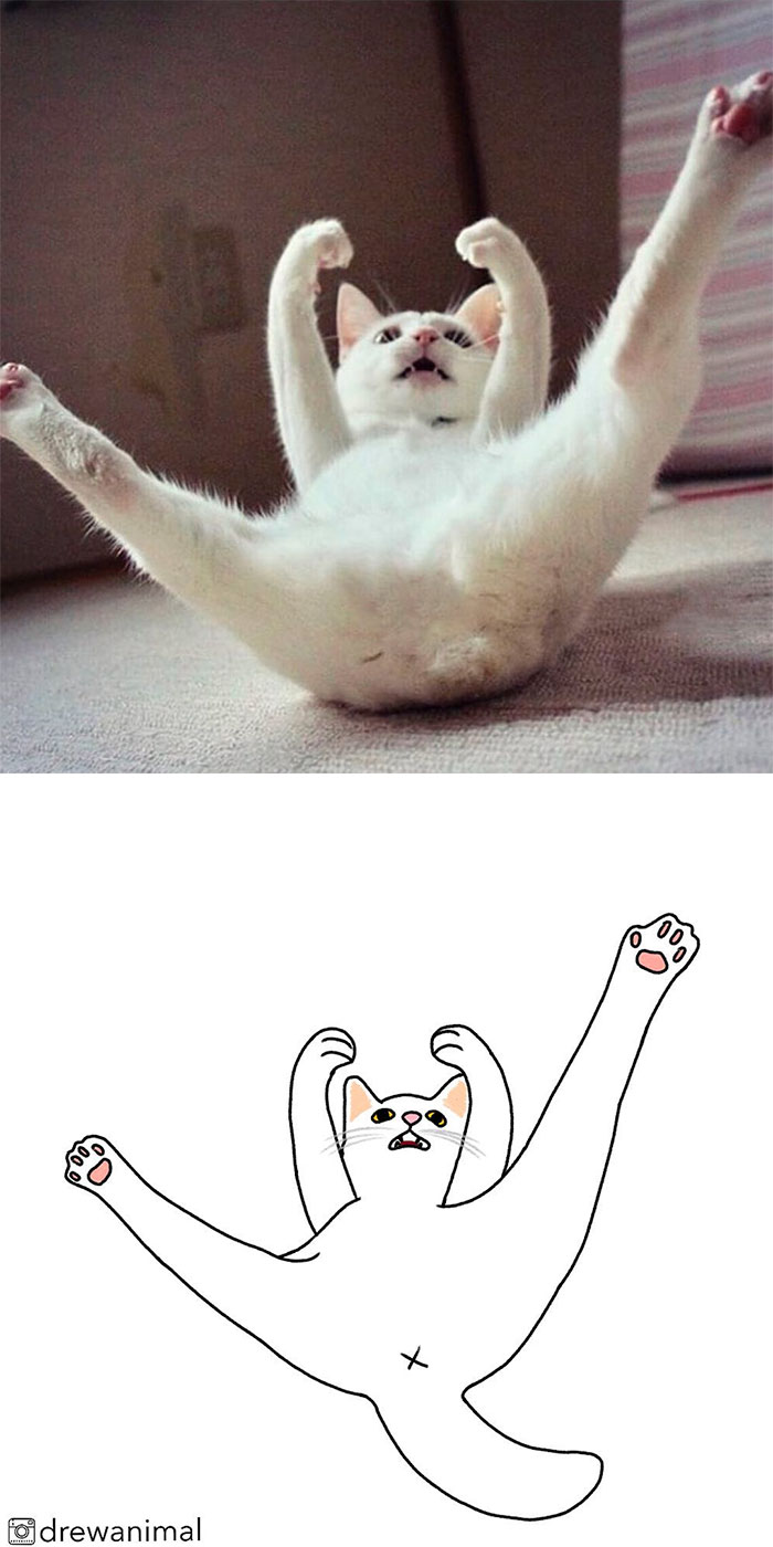 Artist Turns Classic Cat Memes Into Minimalist Illustrations