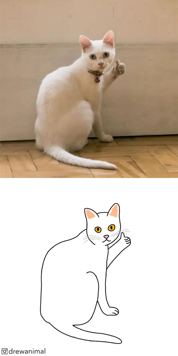 Artist Turns Classic Cat Memes Into Minimalist Illustrations