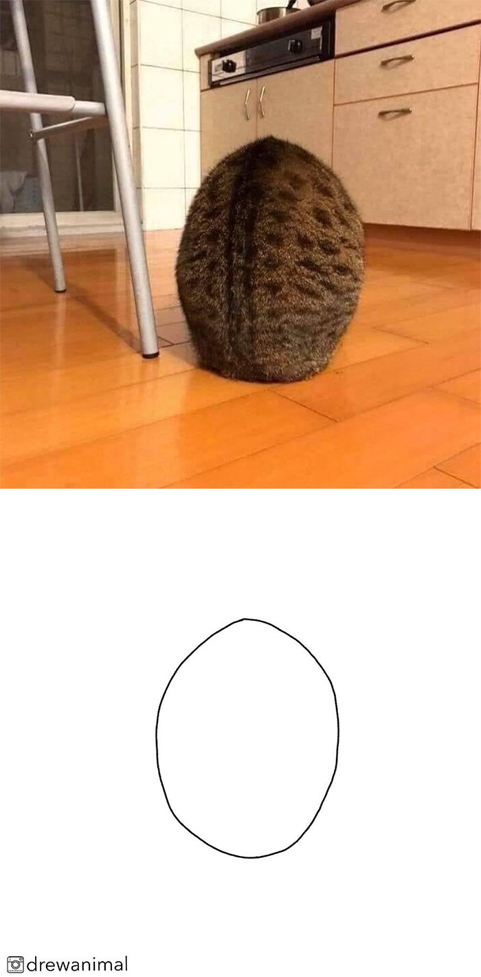 Artist Turns Classic Cat Memes Into Minimalist Illustrations